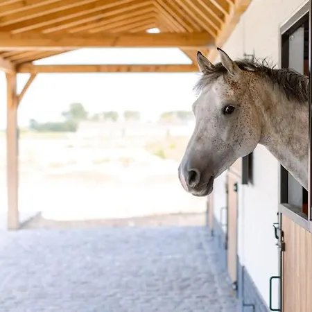 Huswell - Lord - Charming Double At Ranch 